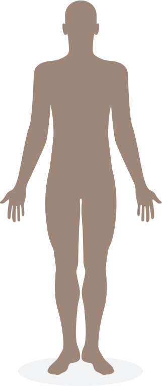 人体